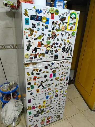 Toshiba double door refrigerator