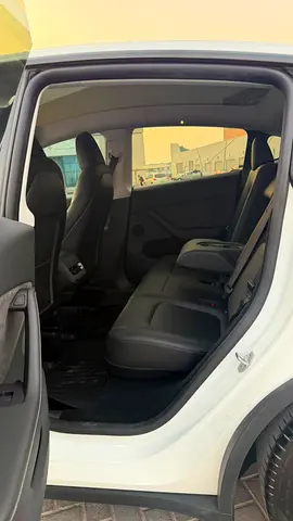 Tesla Model Y Performance, миниатюра 6