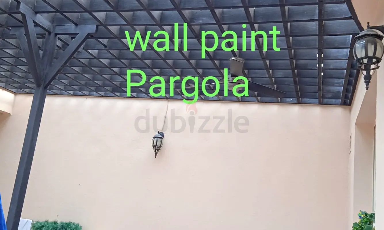 DPV_View_Image_0