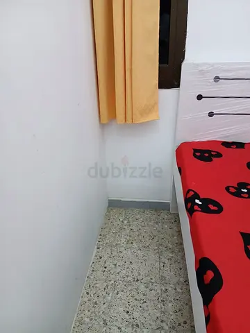 Lady’s couple single