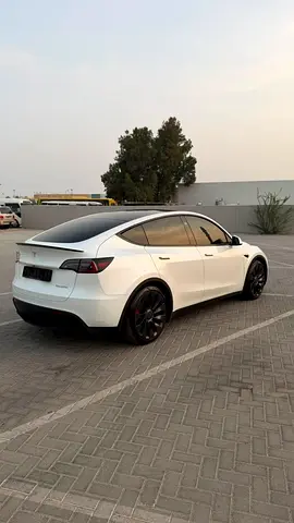 Tesla Model Y Performance, миниатюра 15