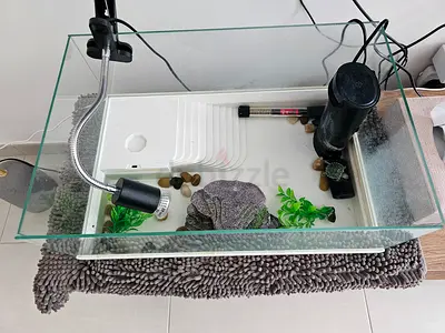 Turtle Glass aquarium tank with lamp and heater - Ready Setup