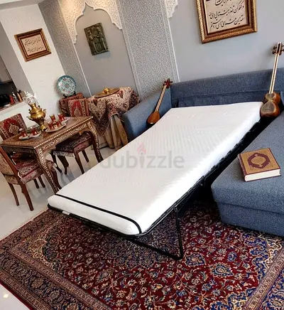 Elegant Sofa Bed for Home & Apartment