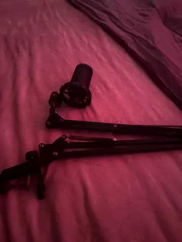 Mic with stand