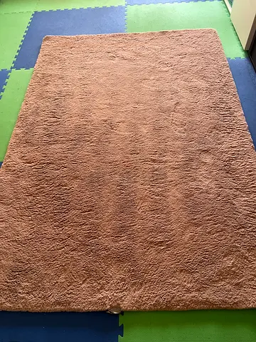Purple shaggy area rug - good used condition