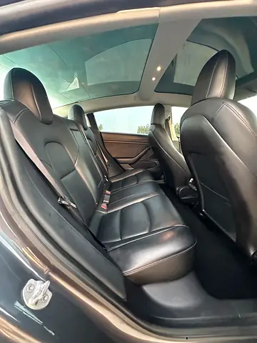 2020 Tesla MODEL 3 照片 11