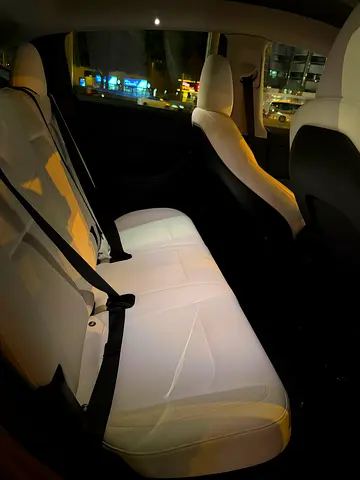 2024 Tesla MODEL Y 照片 5