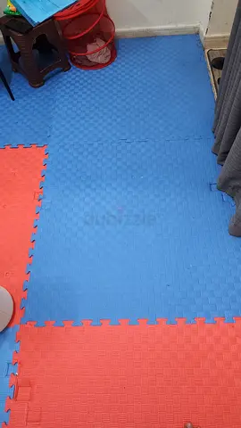 Interlocking Foam Floor Mats (Blue & Red) - Good Condition