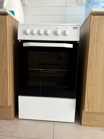 Electric gas stove