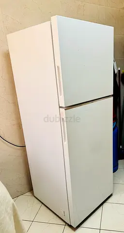 Samsung Refrigerator RT45CG5004WW