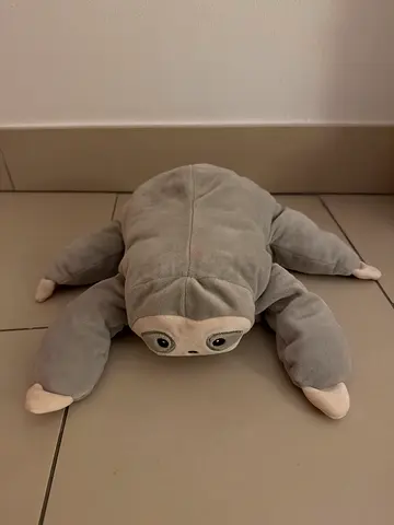 Teddy / plushie