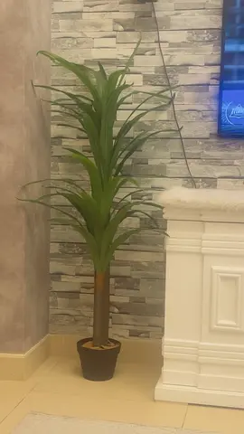 Artificial Yucca Plant with Black Pot