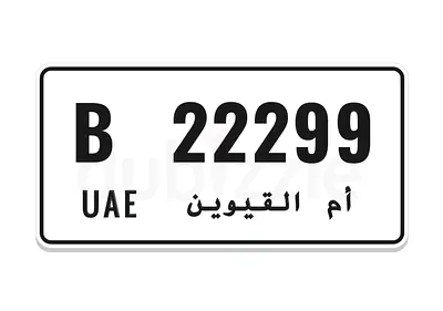 22299 - B