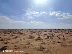 Land for Sale in Al Hoshi, Sharjah – New Phase