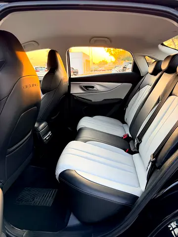 BAIC U5 Plus Luxury, миниатюра 18