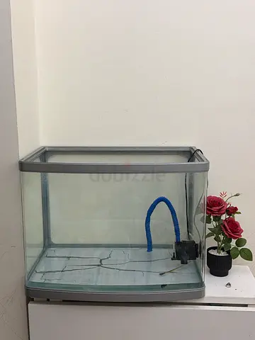 Small glass aquarium tank with filter — good condition