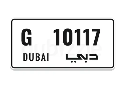 10117