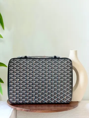 Goyard Brifcase bag