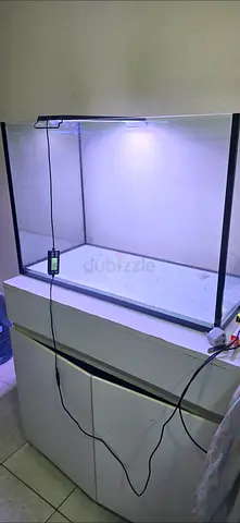 80cms Glass Aquarium Good Condition.