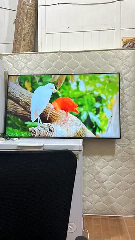 Samsung 55-inch LED TV - Good working condition dual LED