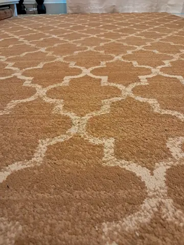Beige & White Geometric Area Rug - Good Condition