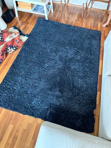 Blue Rug