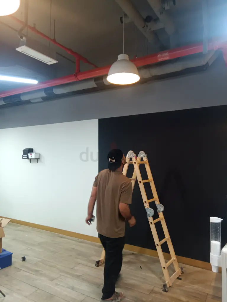 DPV_View_Image_2