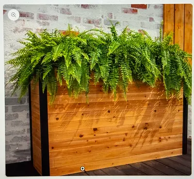 Vita Mezza 16 in. × 59 in. Parklette Planter