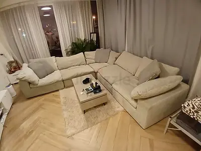 Perfect Condition Pan Home pianca feather 🪶 filled Modular Living room Sofa