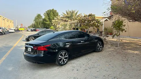 2017 Nissan MAXIMA 照片 2