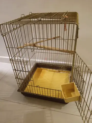 Bird cage