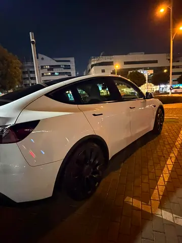 2024 Tesla MODEL Y 照片 3