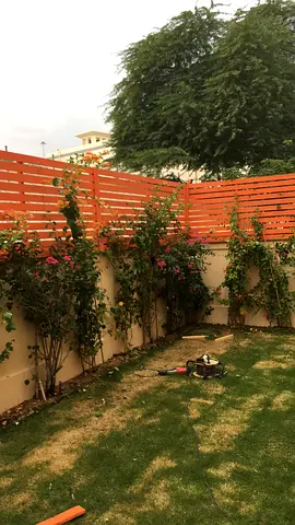 Wood fence