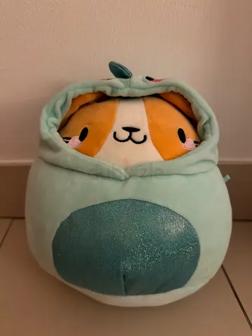 Teddy / plushie