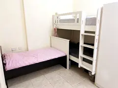 Special offer Bachelor Executive Bed Space Al Nahda Shj walking distance Dubai Free Metro Bus Stop