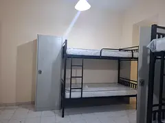LADIES BED SPACE NEAR DAFZA METRO