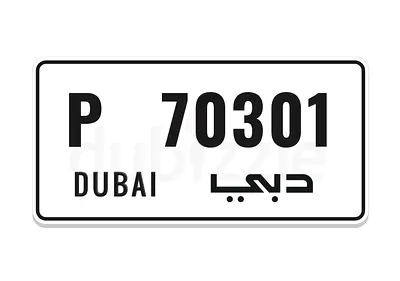 P70301