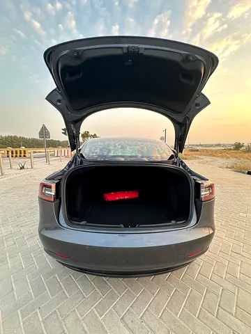 2020 Tesla MODEL 3 照片 18