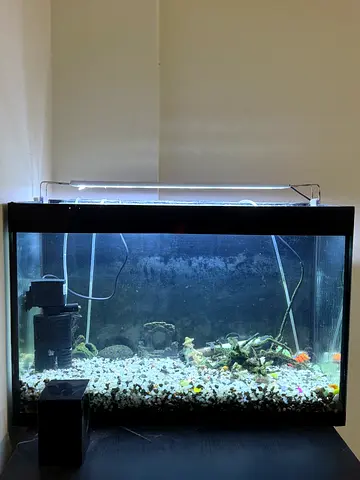 Aquarium for sale