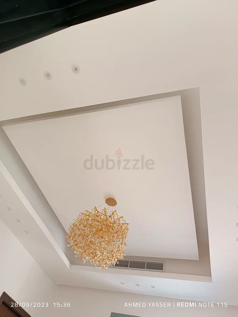 DPV_View_Image_6