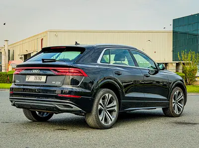 Audi Q8 55 TFSI quattro, миниатюра 13