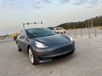 2020 Tesla MODEL 3 照片 14
