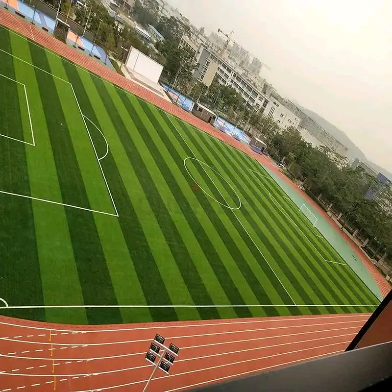DPV_View_Image_7
