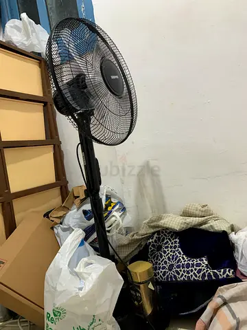 Fan