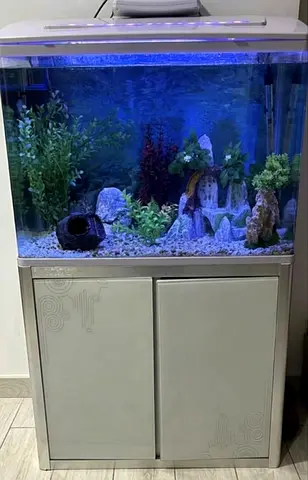 Aquarium