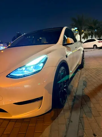 2024 Tesla MODEL Y 照片 1