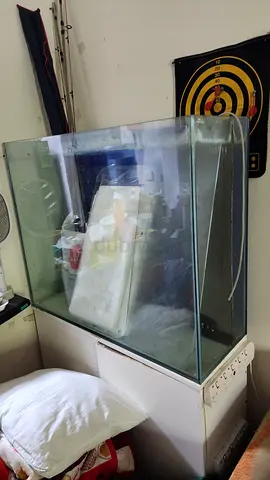 Fish Tank