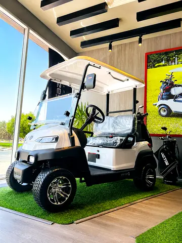 GAZMIN EV 2-SEATER ECO-LUXURY GOLF CART ELECTRIC BUGGY I 1-YEAR FREE SERVICE & MAINTENANCE