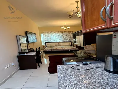 Annual Furnished Studio Golden Opportunity Electricity Included Free Gym Pool Parking Premium Tower Near Fish Market Ready To Move Prime Location
