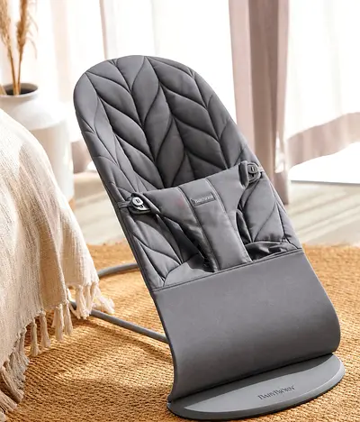 New Baby Bjorn Bouncer
